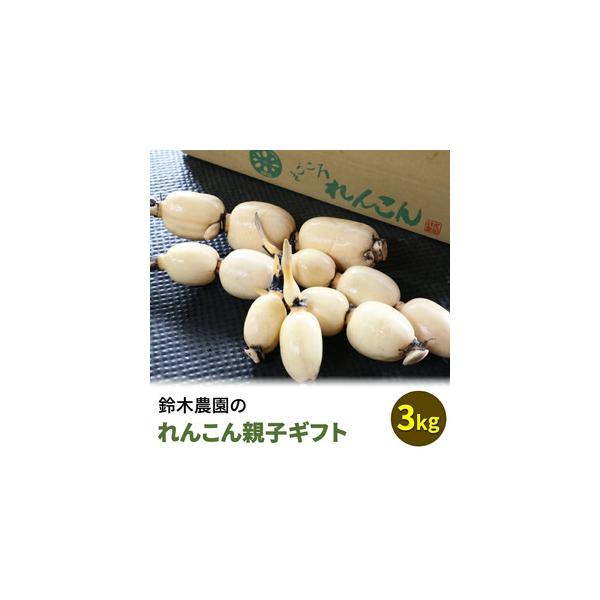■ 容量　れんこん　3kg（親れんこん 2kg、子れんこん 1kg）■ 配送について　2025年12月下旬〜2026年4月上旬頃に順次発送予定　タイプ：【冷蔵】