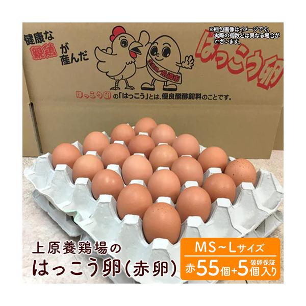 ふるさと納税 はっこう卵 ( 赤卵 ) MS~L サイズ 55個 ＋破卵保障5個 サイズ おまかせ 卵 たまご タマゴ 鶏卵 優良醗酵飼料 平飼い ゲージ おいし.. 沖縄県糸満市