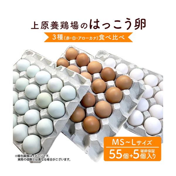 ふるさと納税 はっこう卵 3種 食べ比べ MS~L サイズ 55個 ＋破卵保障5個 卵 種類 サイズ おまかせ 詰め合わせ 白卵 30個 赤卵 20個 青卵 10個 ア.. 沖縄県糸満市