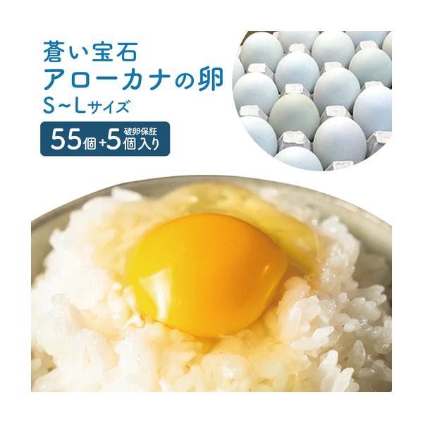 ふるさと納税 はっこう卵 アローカナ S~L サイズ 55個 ＋破卵保障5個 卵 サイズ おまかせ 青卵 鶏卵 たまご タマゴ 優良醗酵飼料 おいしい 生卵 .. 沖縄県糸満市