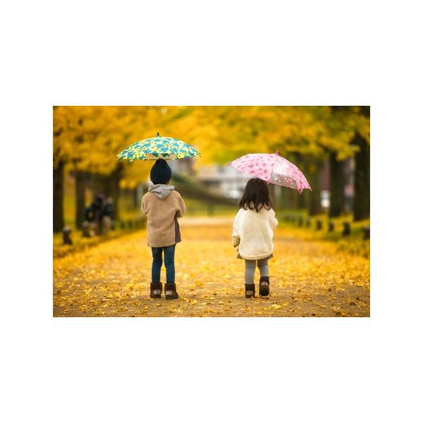 ■ 容量　写真家 小林淳によるロケーション撮影予約券　１枚　撮影予約券を郵送しますので、受け取り後は企業担当者と打ち合わせの上、撮影調整を進めます。　使用期限：発行から90日　　　撮影までの流れ　―――――――――――――　１．寄附申し込み...