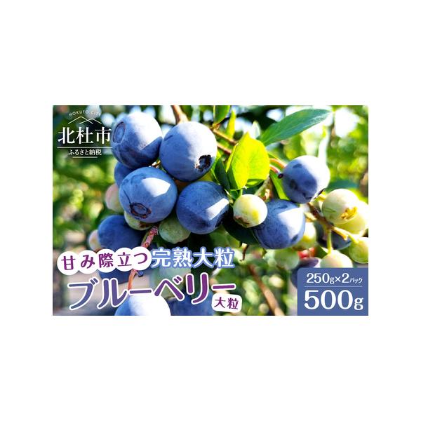 ■ 容量　250gパック×2個(計500g)　　【消費期限】　到着後　冷蔵で1週間以内、冷凍で約半年。　※生鮮品のため、お早めにお召し上がりください。　　【申込可能な期間】　〜2026年5月31日まで　※在庫状況により申込期間が変更になる可...