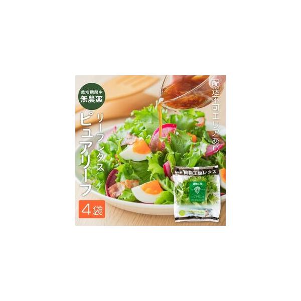 ■ 容量　ピュアリーフ（レタス）4個入り　兵庫県加西市朝妻町　　タイプ：【冷蔵】
