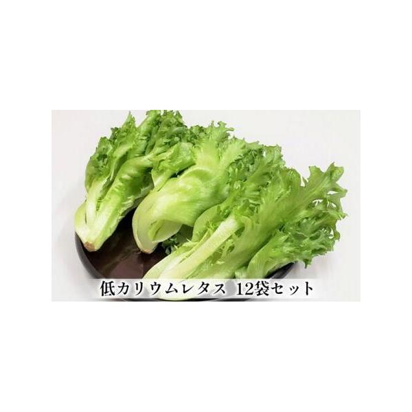 ■ 容量　商品名：アノレタス（リーフレタス）　内容量：12袋　1袋あたり約70ｇ　・保存方法：要冷蔵（10℃以下）　・原産地：三重県伊賀市■ 配送について　順次発送　タイプ：【冷蔵】