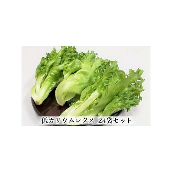 ■ 容量　商品名：アノレタス（リーフレタス）　内容量：24袋　1袋あたり約70g　・保存方法：要冷蔵（10℃以下）　・原産地：三重県伊賀市■ 配送について　順次発送　タイプ：【冷蔵】