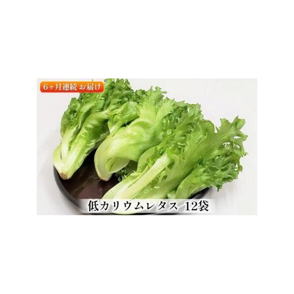 ■ 容量　商品名：アノレタス（リーフレタス）　内容量：12袋　1袋あたり約70g　6ヶ月連続でお届けします。　・保存方法：要冷蔵（10℃以下）　・原産地：三重県伊賀市■ 配送について　順次発送　タイプ：【冷蔵】【定期】