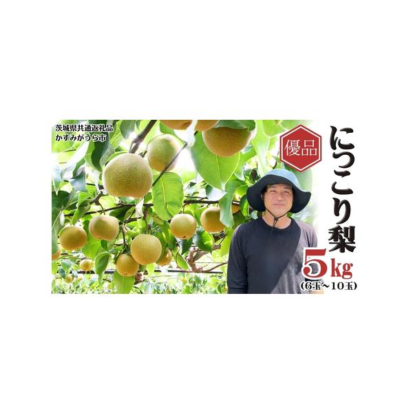 ■ 容量　5kg箱　6玉から8玉入り■ 配送について　2026年9月下旬よりお申込み順に発送　発送開始後は、入金確認より2週間前後で発送　※発送時期は、例年の発送時期になっております。その年の天候や発育によりお届けが遅れる、又は早まることが...