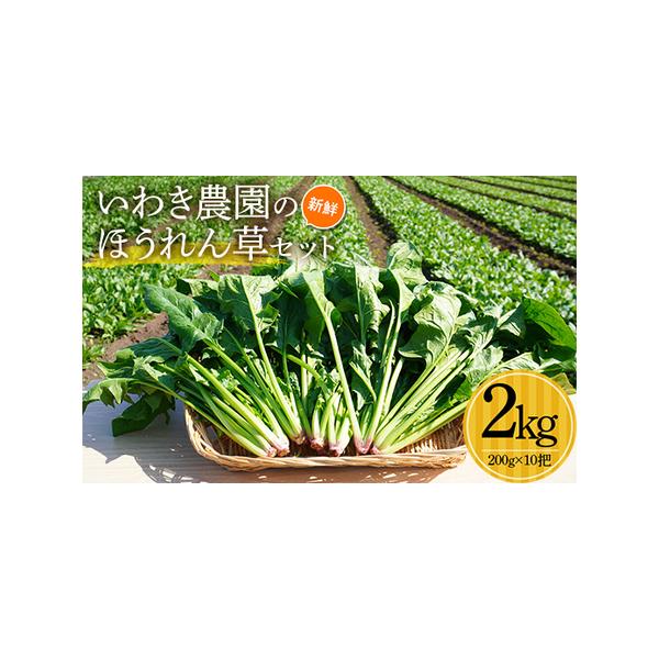 ■ 容量　ほうれん草 2kg（200g×10把）■ 配送について　【配送日指定不可】　タイプ：【冷蔵】