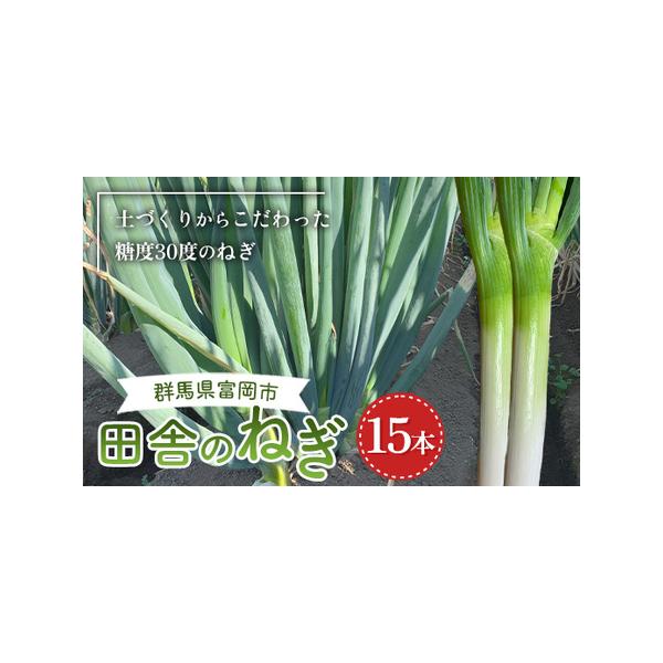 ■ 容量　糖度30の田舎ねぎ×15本■ 配送について　2025年8月下旬頃〜2026年4月中旬頃に順次発送　※8月下旬〜10月は、冷蔵便でお届けいたします。　タイプ：【常温】【冷蔵】