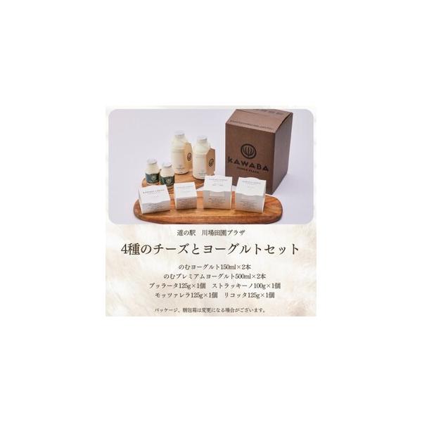 ふるさと納税 4種のチーズとヨーグルトセット【配送不可地域 ふるさと納税 4種のチーズとヨーグルトセット【配送不可地域
