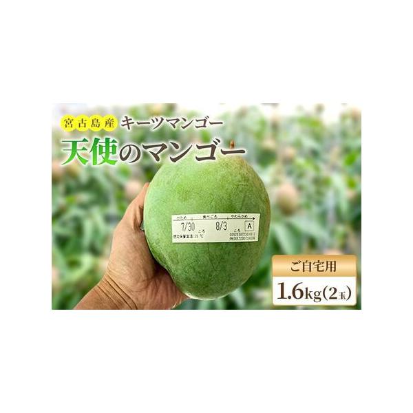 ■ 容量　■内容量：2個（計1.6kg以上）　■ご自宅用：大きさ、形、汚れ、キズ等外見が規格外品になります　■原産地：沖縄県宮古島産　※商品箱も段ボール素材の白箱となります■ 配送について　2026年7月下旬〜8月下旬まで順次発送　タイプ：...