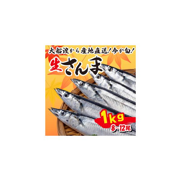 ふるさと納税 【先行予約】 さんま 1kg 8尾〜12尾 冷蔵 岩手県大船渡市