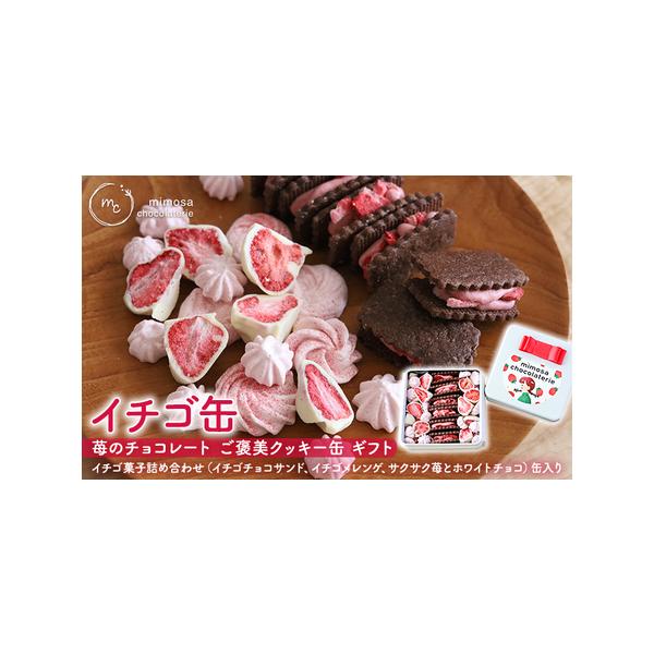 ふるさと納税 イチゴ缶 苺のチョコレート ご褒美クッキー ギフト