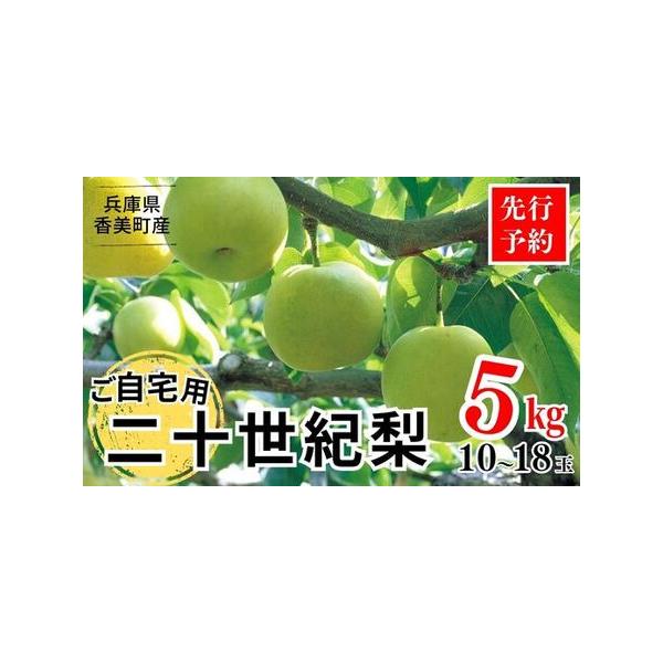 ■ 容量　【容量】　二十世紀梨 ご自宅用　約5kg（L〜5Lサイズ混合 10-18玉）　　【賞味期限】　青果のため、返礼品到着後はお早めにお召し上がりください。■ 配送について　※配送不可地域：北海道・沖縄県・一部離島　※お申込み順に順次発...