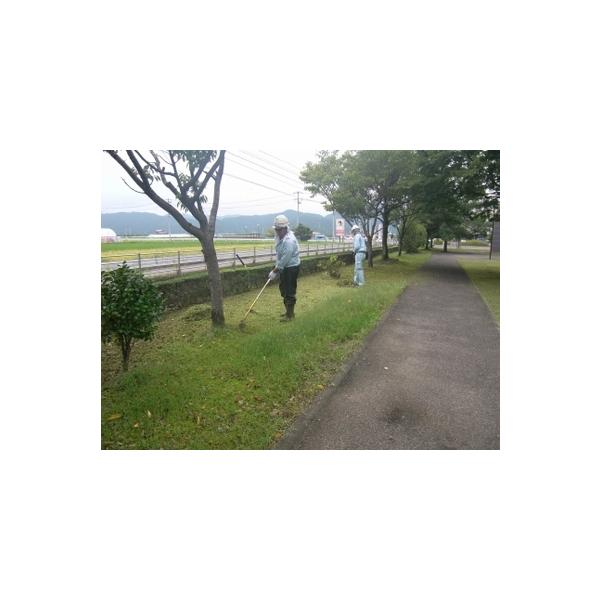 ■ 容量　作業員2名、約8時間の作業　2tトラック1台分の木くず処分　【有効期限】　１年間■ 配送について　お申込み後、事業者より日程調整と詳細についてのお電話をいたします。　タイプ：【常温】