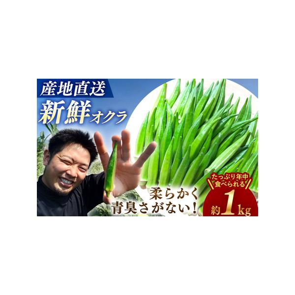 ■ 容量　おくら 約1kg　　【原料原産地】　西海市■ 配送について　2026年6月上旬から10月中旬まで順次配送致します。　※天候不順により、予告なく発送が前後する場合がございます。ご了承くださいませ。　※収穫時期を過ぎてからのお申し込み...