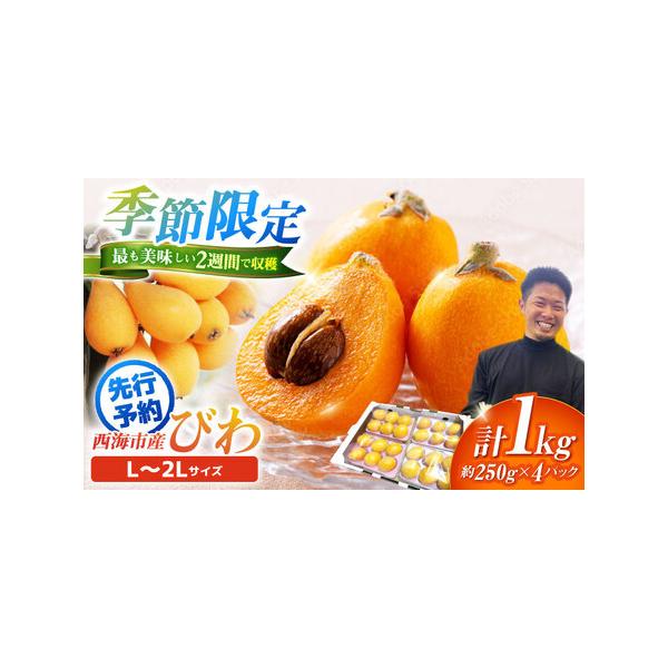 ■ 容量　L〜2Lサイズ　約1kg　　【原料原産地】　西海市産■ 配送について　ゴールデンウィーク明けの5/7より順次発送いたします　※天候不順により、発送時期が予告なく前後する場合がございます。　※配達日時の指定を承っておりません。準備で...
