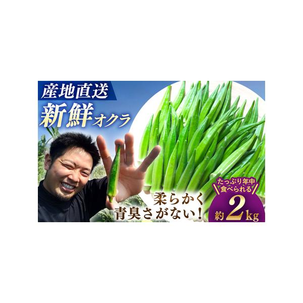 ■ 容量　オクラ 約2kg　　【原料原産地】　西海市■ 配送について　2026年6月上旬から10月中旬まで順次配送致します。　※天候不順により、予告なく発送が前後する場合がございます。ご了承くださいませ。　※収穫時期を過ぎてからのお申し込み...