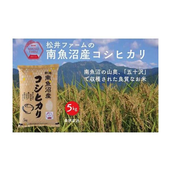 ふるさと納税 【令和8年 新米予約】【定期便（無洗米）】南魚沼産