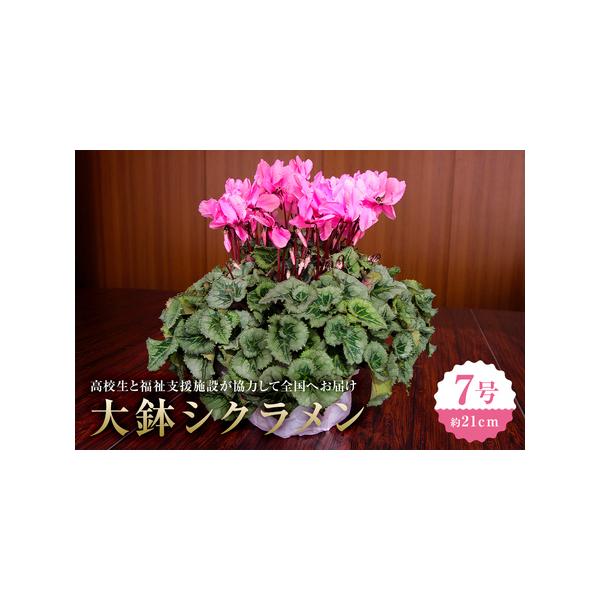 ふるさと納税 【思いやり型返礼品】《先行予約　数量限定　季節限定》高校生と福祉支援施設が協力して全国へお届けする　たくさんの愛が詰まっ.. 千葉県南房総市