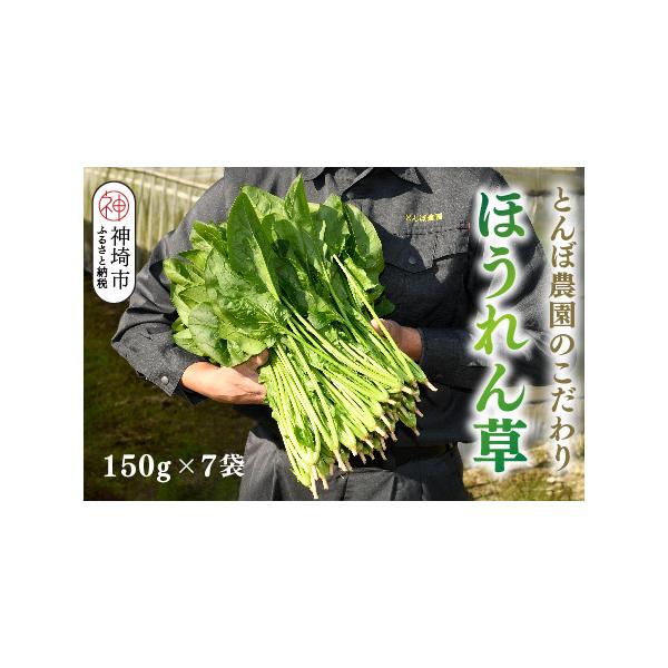 ■ 容量　・ほうれん草 150g×7袋（約1kg）　　【賞味期限】　発送日より、冷蔵で10日間　※到着後すぐに冷凍保存した場合は約1ヶ月■ 配送について　10月より翌年6月までの期間で順次発送　※発送期間中は決済完了から14日前後で発送しま...
