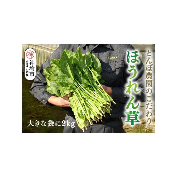 ■ 容量　・ほうれん草 バラ詰め 2kg （大きな袋に2kg)　　【賞味期限】　発送日より、冷蔵で10日間　※到着後すぐに冷凍保存した場合は約1ヶ月■ 配送について　10月より翌年6月までの期間で順次発送　※発送期間中は決済完了から14日前...