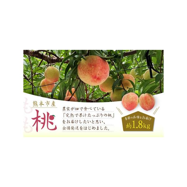 ■ 容量　約1.8kg　※品種をご指定することはできません。■ 配送について　寄附確認後、2026年5月下旬〜7月上旬迄順次発送開始　タイプ：【冷蔵】