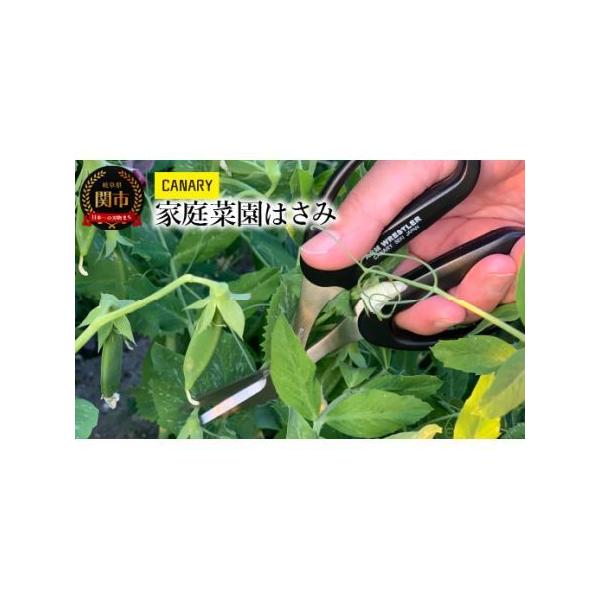 ■ 容量　【容量(縦×横×高さ mm)】165×80×10　【重量】63ｇ　【刃渡り】40mm　【原材料】刃：高級ステンレス刃物工具鋼、ハンドル：ポリエチレン樹脂　■ 配送について　入金確認後、【30営業日（45日程）】以内に発送します。　...