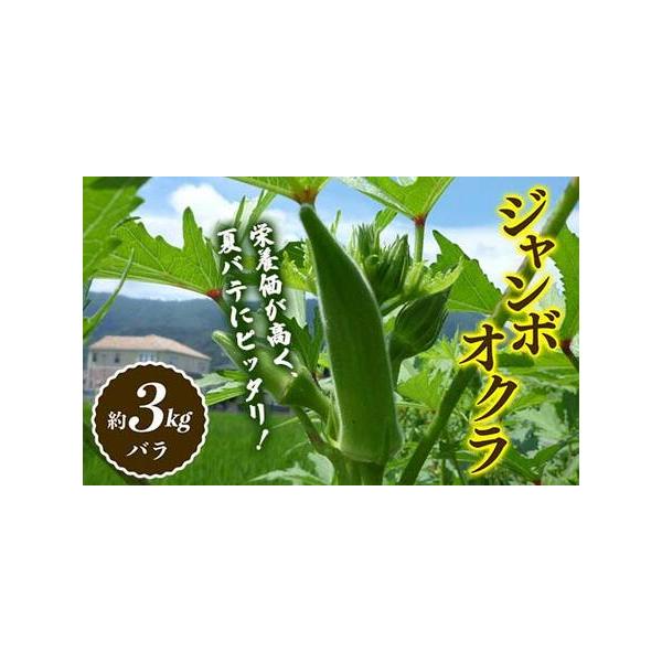 ■ 容量　約３kg（バラ）■ 配送について　2026年7月上旬〜2026年9月下旬まで　準備出来次第発送いたします　タイプ：【冷蔵】