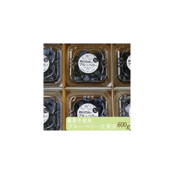 ■ 容量　ブルーベリー生果実600グラム　1パック、100グラム入りを6パックセットにしてお届けします。　※パック数などの商品仕様は変更になる場合があります。グラム数に変更はありません。　贈り物にもできる専用箱に入れて冷蔵便でお届けします。...