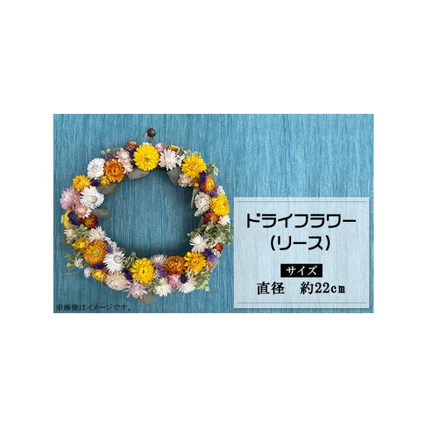 ■ 容量　サイズ：直径 約22cm　素材：貝細工、千日紅、ユウカリ、アジサイ（アナベル）、花かんざし等（すべてドライフラワー）　※色味等はおまかせとなります。ご指定はできませんので、予めご了承ください。■ 配送について　ご入金確認後、順次発...