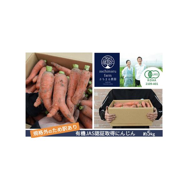 ■ 容量　福岡県朝倉市産　にんじん　約5kg　■ 配送について　2025年12月上旬〜2026年2月下旬　　タイプ：【常温】