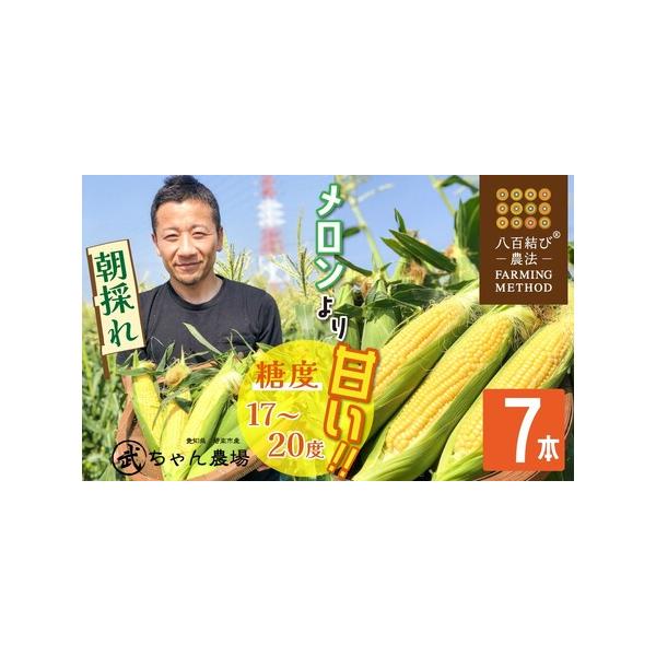 ■ 容量　7本　※発送時点で1本あたり350g以上(茎・葉の重量含む)　　【アレルギー】　特定原材料8品目及び特定原材料に準ずる20品目は使用していません　　【消費期限】到着から５日までが美味しくお召し上がりいただけます。　　【保存方法】要...