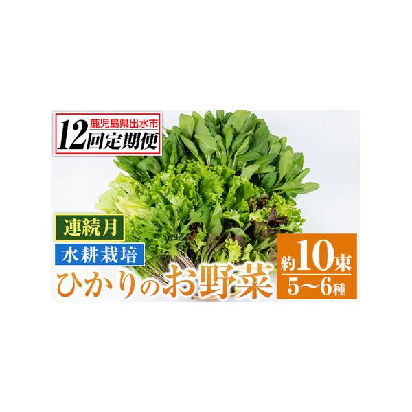 ■ 容量　新鮮葉物野菜 約10束　ほうれん草、水菜、チンゲン菜、小松菜、リーフレタス、ルッコラ、山東白菜、ミックスリーフ等から5〜6種類10束程をお送りいたします。　上記を計12回連続月でお届け■ 配送について　【定期】入金確認後、翌月から...