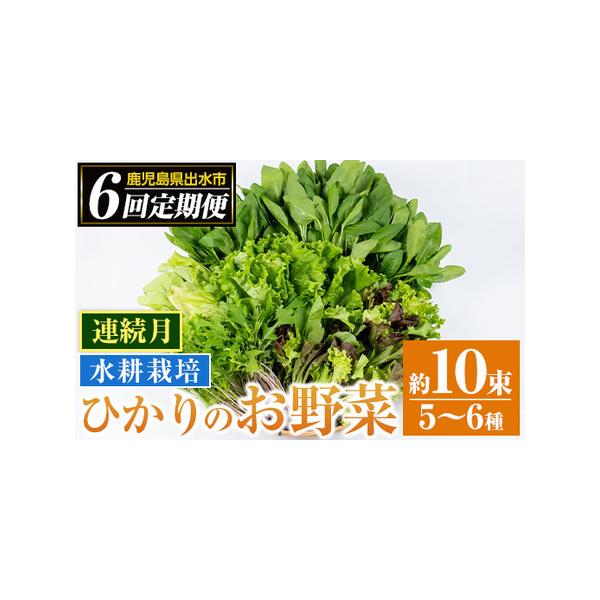 ■ 容量　新鮮葉物野菜 約10束　ほうれん草、水菜、チンゲン菜、小松菜、リーフレタス、ルッコラ、山東白菜、ミックスリーフ等から5〜6種類10束程をお送りいたします。　上記を計6回連続月にお届け■ 配送について　【定期】入金確認後、翌月から連...