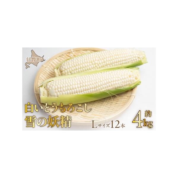 ■ 容量　ホワイトコーン「雪の妖精」Lサイズ以上12本 約4kg■ 配送について　2026年8月下旬〜9月上旬頃まで　発送可能時期より順次発送予定　※沖縄、離島への配送はできかねますので、あらかじめご了承願います。　上記のエリアからの申し込...