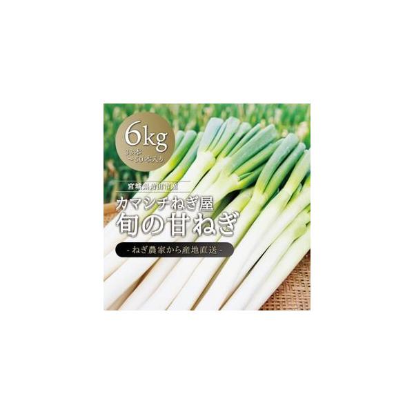 ■ 容量　※上記に記載■ 配送について　2026-01-09〜2026-03-13　タイプ：【常温】