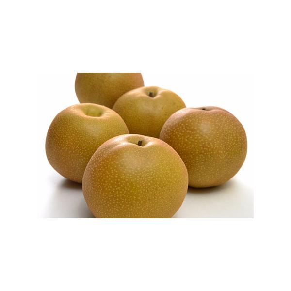 ■ 容量　幸水 約５kg（15玉前後）■ 配送について　注１：梨は日持ちしない果物です。お受取りになられましたら冷蔵庫等で保管し、お早目にお召し上がりください。　注２：配送時期にご不在期間がお分かりでしたらあらかじめ一宮町役場までご連絡くだ...