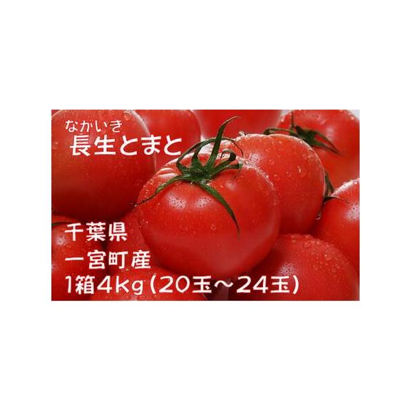 ■ 容量　１箱 20〜24玉入（20〜24個(約4kg)）■ 配送について　注１：夏場の暑い時期や苗替えの時期（8月〜10月）はとまとが品薄となるため、発送を一時停止とさせていただきますので、ご承知おきください。　タイプ：【常温】