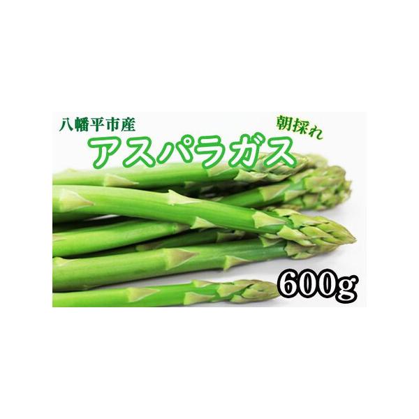 ■ 容量　【促成栽培】グリーンアスパラガス　200g×3束　（品種：スーパーウェルカム）■ 配送について　寄附納入確認後、2026年1月より発送いたします。　2026年1月以降は、寄付納入確認後1ヶ月以内に発送いたします。　※天候・生育状況...
