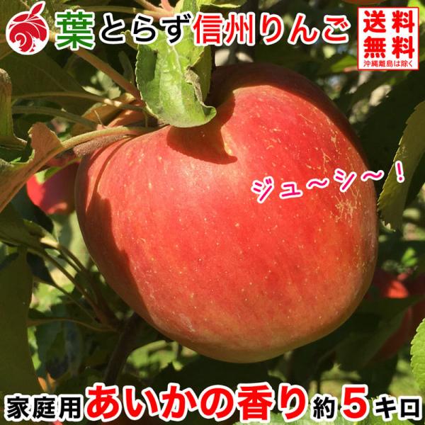 ご予約受付中 訳あり りんご あいかの香り 約5キロ 等級b 18 25玉 5kg 家庭用 送料無料 葉とらず 味極み 減農薬 長野県産 産地直送 Aika B 5k フルプロ 通販 Yahoo ショッピング