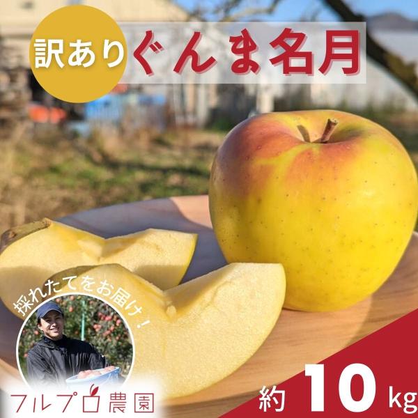 訳あり】ぐんま名月 約10kg 24-46玉 甘くてジューシーな希少りんご 11