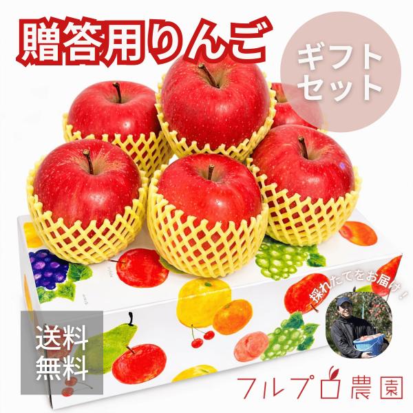 【贈答用りんご】 ギフトセット おおよそ6玉 高級りんご フルーツギフト 化粧箱入り 送料無料 産地直送 お歳暮 お中元 お祝い 内祝い  #NAX0A020