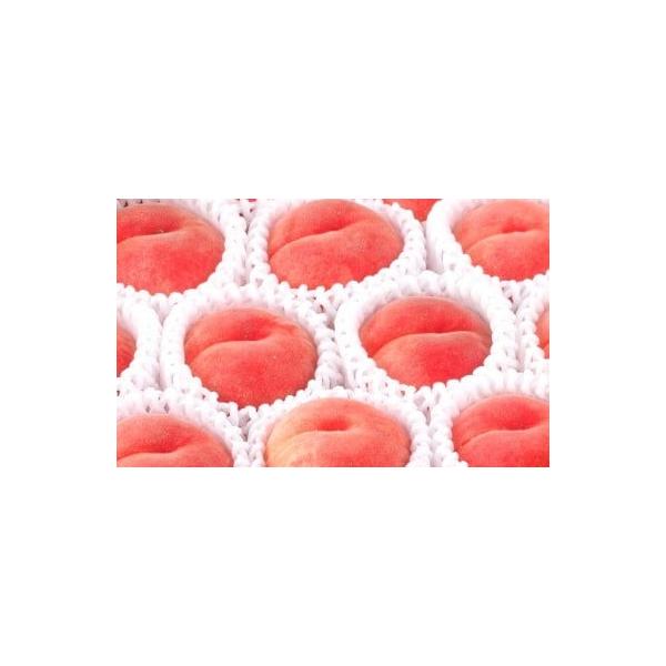 容量2kg(秀・4〜9玉)消費期限1週間程度発送期日2026年8月下旬〜9月上旬【配達】ヤマト運輸または佐川急便配送冷蔵 のし 時間指定 別送申込期日2026年7月31日まで事業者株式会社 ジェイエイてんどうフーズ申込条件何度も申し込み可