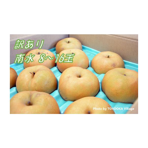 容量＜2026年に発送する予約注文分です＞内容量：8〜16玉（約5kg）※大きさで玉数は異なります。発送期日2026年9月下旬〜10月上旬発送予定※その年の気候により配送時期に変動がある可能性がございます。配送常温 時間指定 別送申込期日＜...