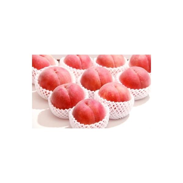 容量3kg(秀8〜12玉)消費期限1週間程度発送期日2026年8月中旬〜9月上旬【配達】ヤマト運輸気温状況に応じて冷蔵または常温発送となります配送常温 冷蔵 のし 時間指定 別送申込期日2026年8月20日まで事業者企業組合 スイーツキッチ...