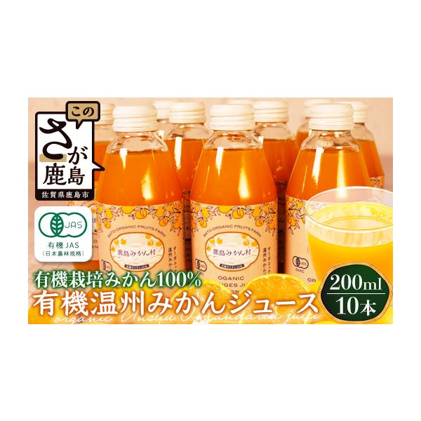 ふるさと納税 果汁飲料 みかん 佐賀県 鹿島市 B-23 ＼希少な