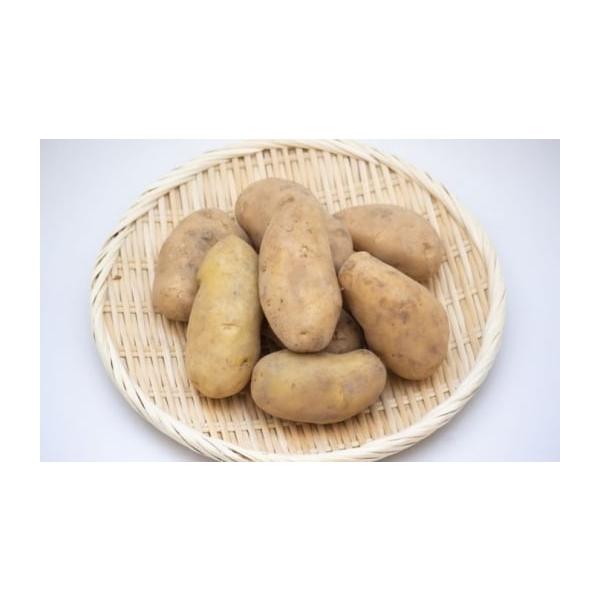 容量厚真ファーム産 メークイーン10kg×1箱 ※L〜Mサイズ消費期限到着後はお早めにお召し上がりください※冷暗所で保存発送期日【予約受付中】2026年10月中旬以降順次発送【ご確認ください】※生鮮食品ですので、到着後はなるべく早めにお召し...