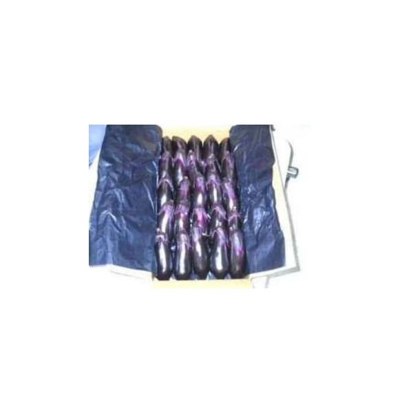 容量幸田町特産「とげなし温室なす(とげなし美茄子)」たっぷり5kg段ボール箱にてお届けします。発送期日2025年11月〜2026年6月まで順次発送配送常温 冷蔵 別送申込期日通年事業者あいち三河農業協同組合申込条件何度も申し込み可