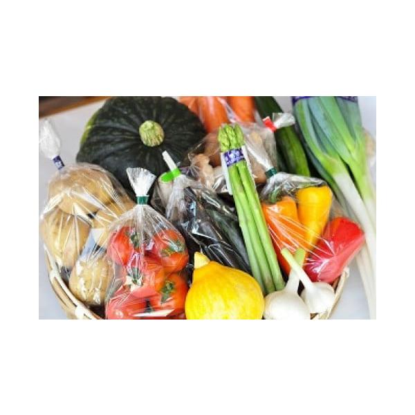 容量季節の野菜　10品目程度季節によって野菜の種類は異なります。発送期日納入確認から3〜5週間程度※離島への発送はできません。配送冷蔵 時間指定 別送申込期日通年事業者ひまわりの会申込条件何度も申し込み可